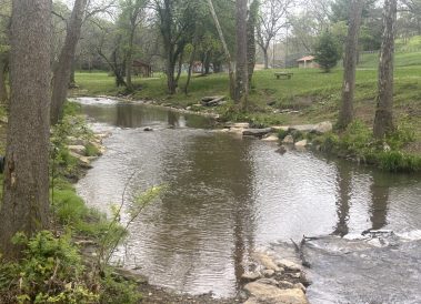 article image - Chartiers Creek